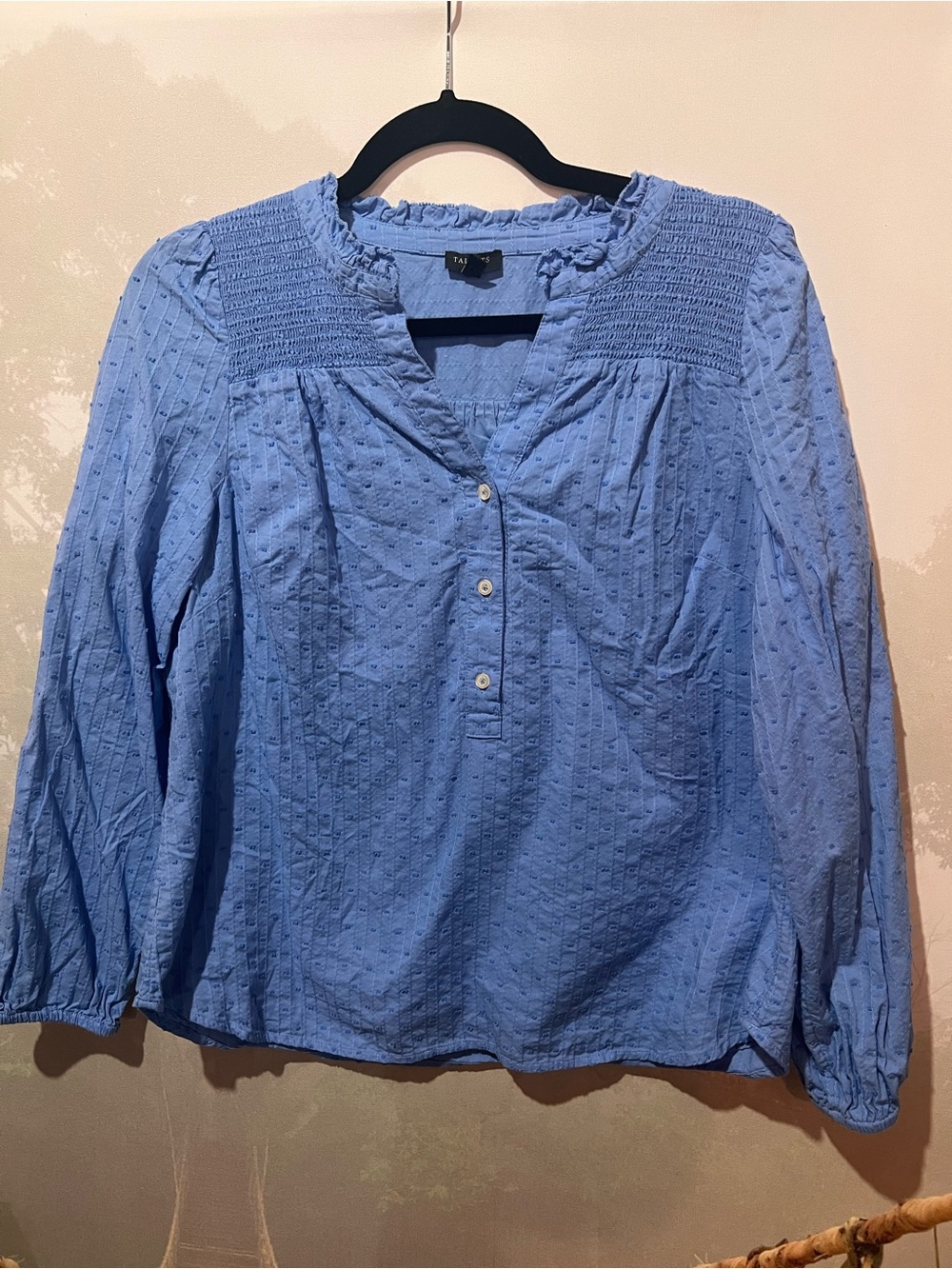 Talbots Embroidered Swiss Dot Blouse